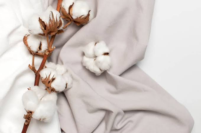 Cotton fibre close up